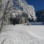 Apartman Huatscher