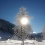 Апартаменты Huatscher *