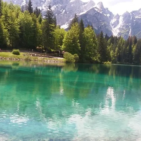 Huatscher *