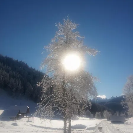 Apartman Huatscher *